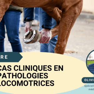 Cas cliniques en pathologies locomotrices