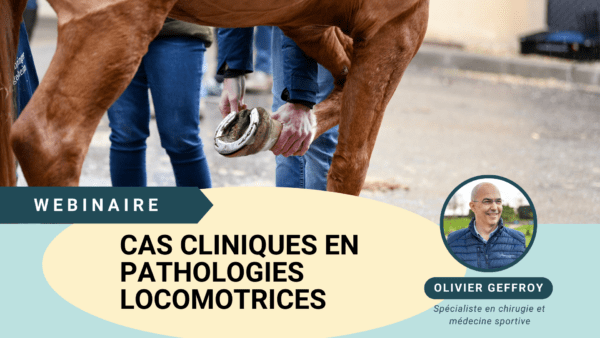 Cas cliniques en pathologies locomotrices